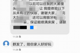 西林贷款清欠服务