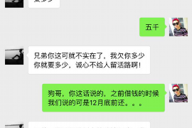 西林贷款清欠服务